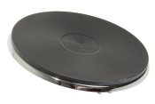 Big plate 1000w 995