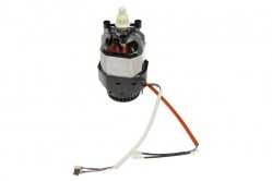  Motor Titanium XL 