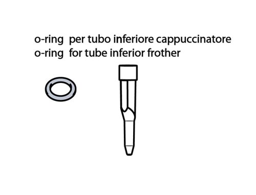O-Ring