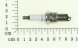 Sparkplug
