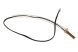 Sensor evaporator