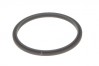  Gasket Nutribullet 